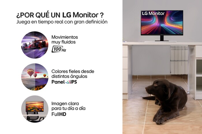 Información Monitor IPS FHD - 24MR400